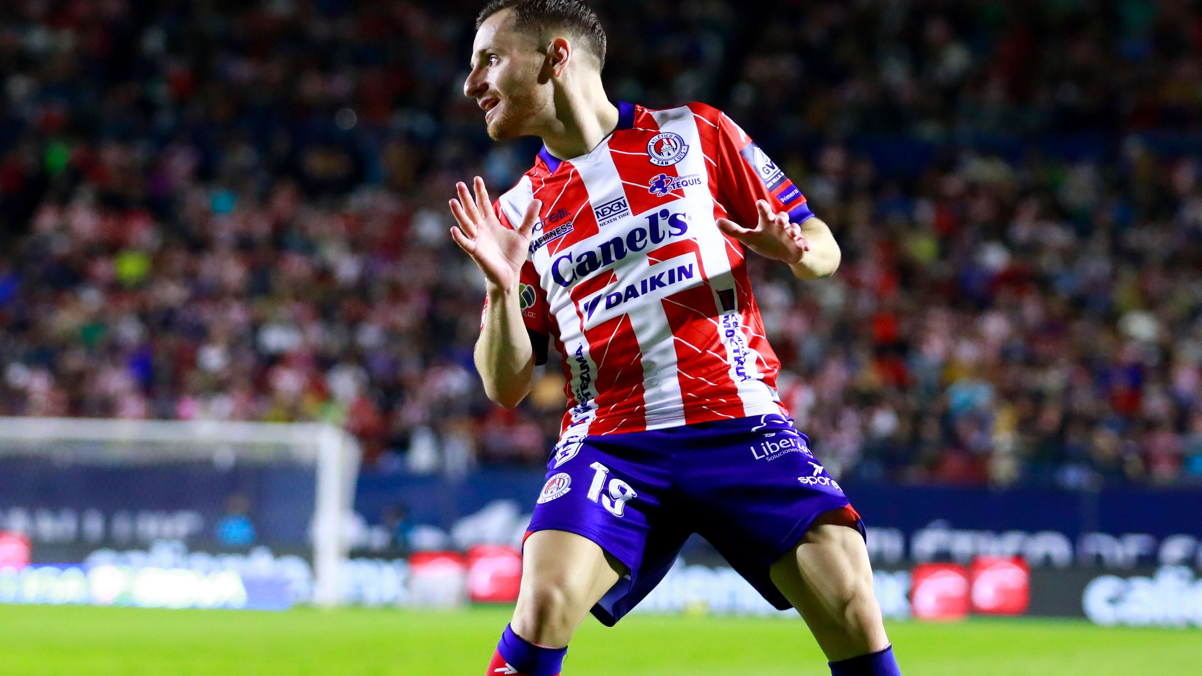 的球员展现 的球员展现